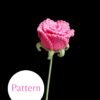 Rose Pattern #11